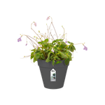 loft urban green wall single 15cm antraciet